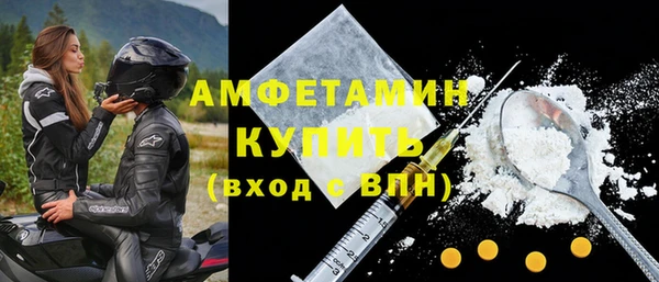 прущие грибы Няндома