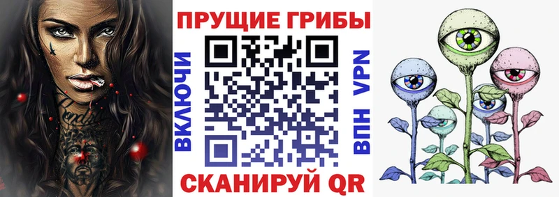 Псилоцибиновые грибы прущие грибы  мега ССЫЛКА  Сосновка  купить  цена 