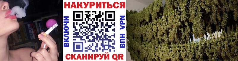 купить Сосновка Канабис LSD WEED